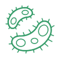 Bacteria icon