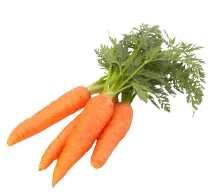 Carrot graphic